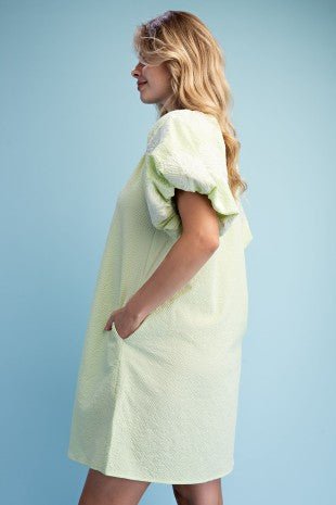 Lime Green Textured Mini Dress with White Embroidered Puff Sleeves