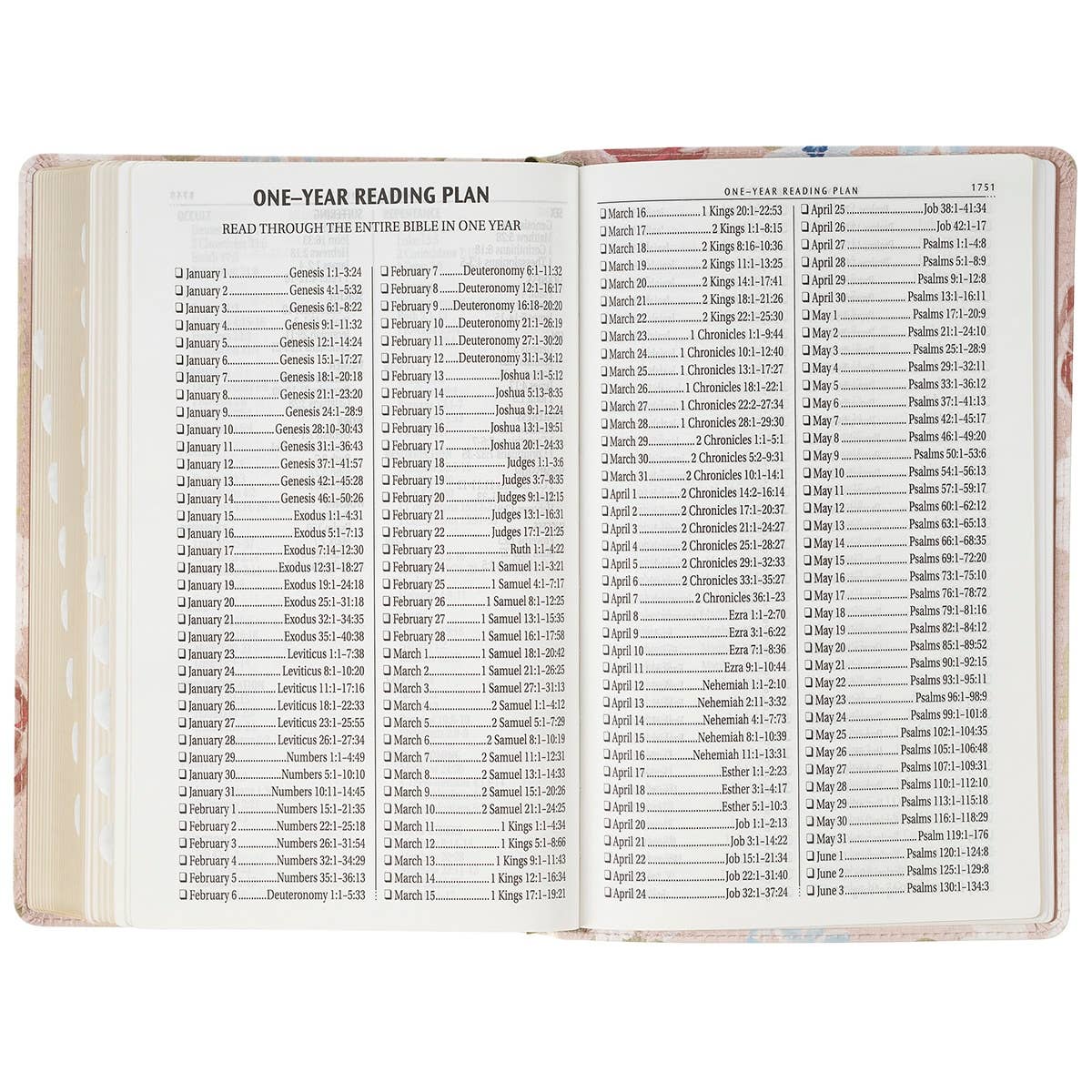 Giant Print Floral Jeremiah 29:11 KJV Bible
